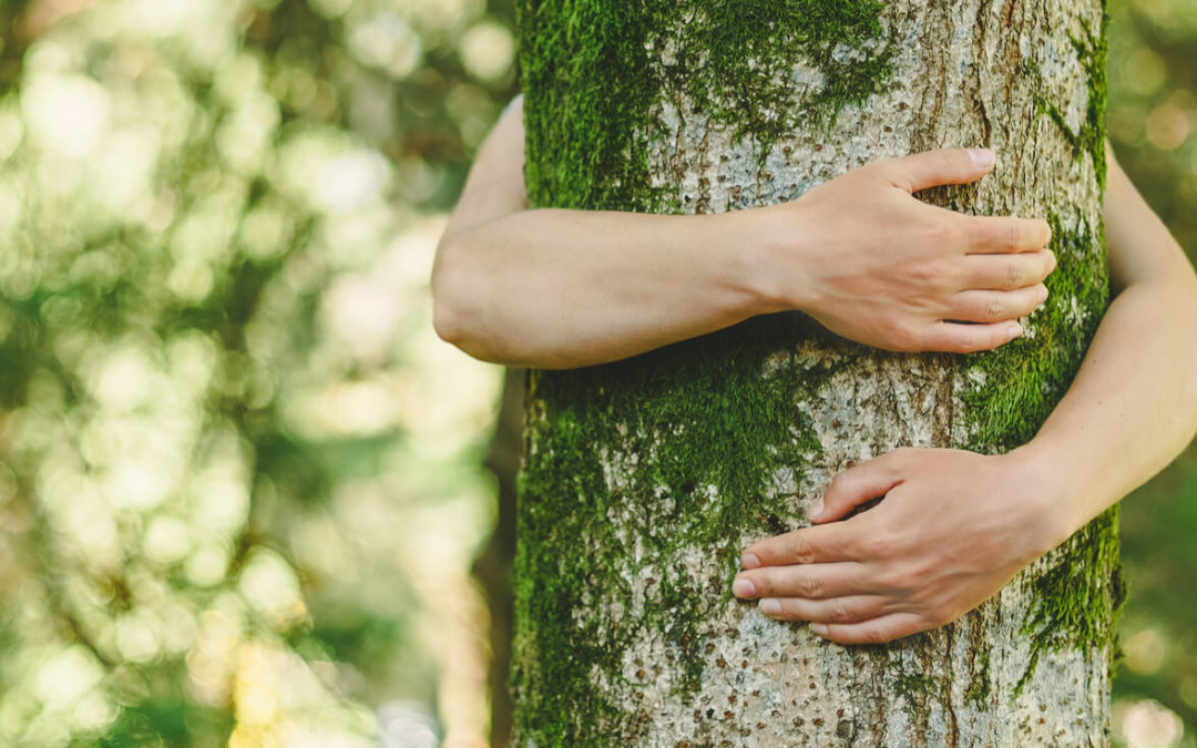 You Don’t Have to Be a Tree-Hugger to Be Green