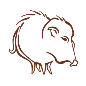 Javelina_Logo_081116_solo